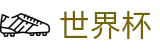 2026世界杯买球-买足球赛的软件-国际足联俱乐部世界杯官方网站